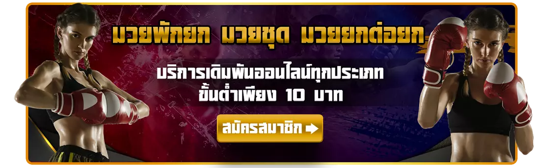 มวยพักยก711 เว็บแทงมวยสด ครบทุกเวที cover